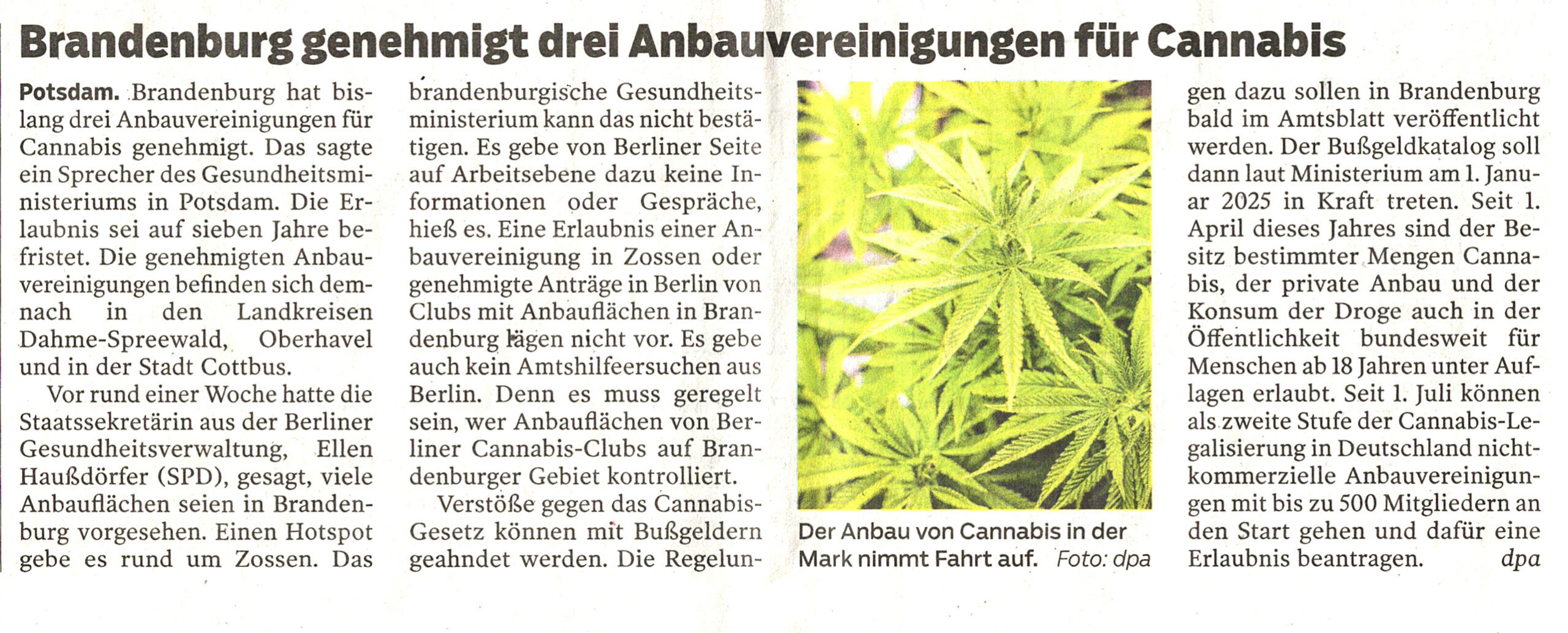 06-11-24_Artikel LR_allgemein