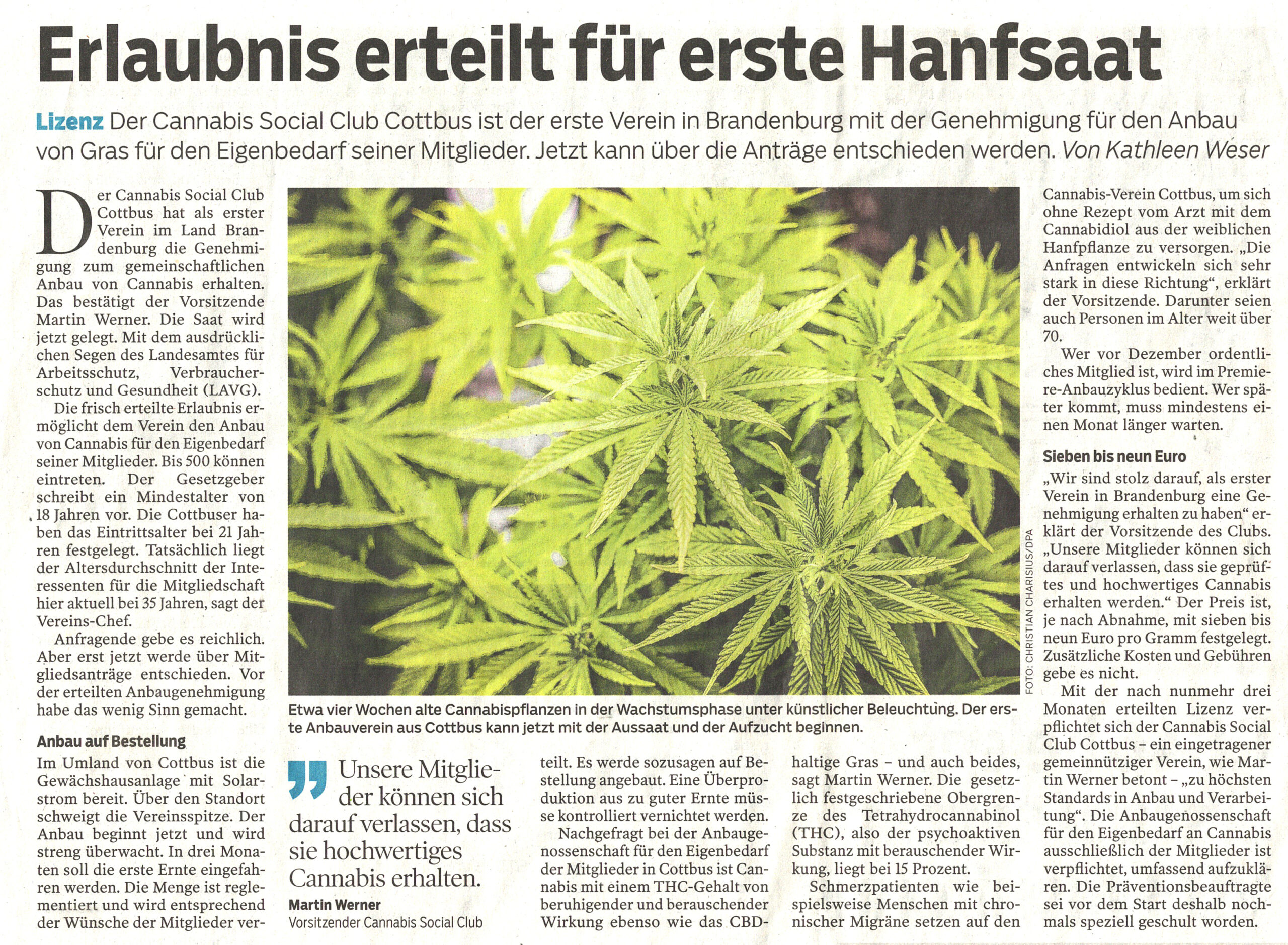 06-11-24_Artikel LR_csc