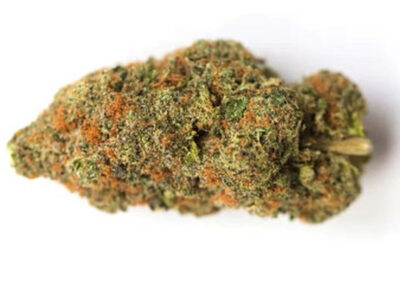 Big Bud