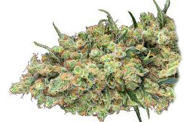 Candy Hash