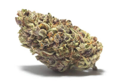 Himalaya CBD