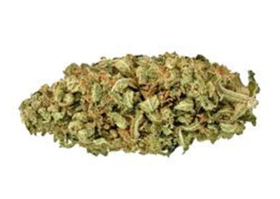L.A. Amnesia
