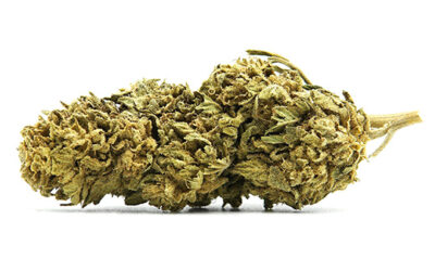 Northern Lights