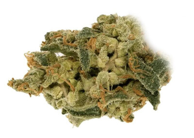 Skunk #1
