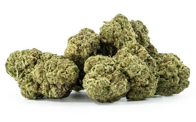 Super Lemon Haze
