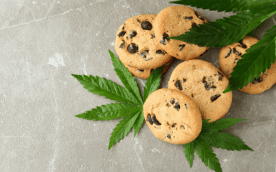 Cannabis-Kekse (mit Cannabutter)
