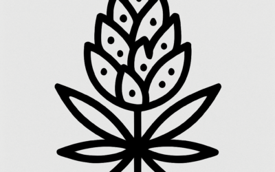 OG Kush – Info